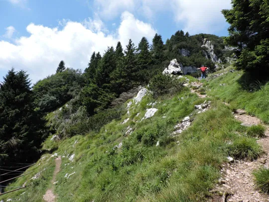 Dettaglio del sentiero