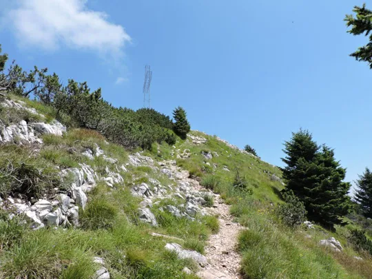 In vista della croce