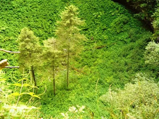 Voragine Stonhaus - interno