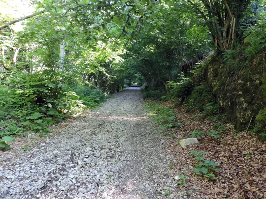 Dettaglio del percorso verso Campiello