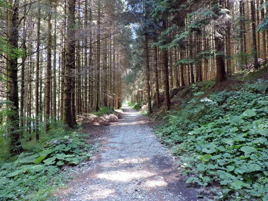 Dettaglio del percorso verso Campiello