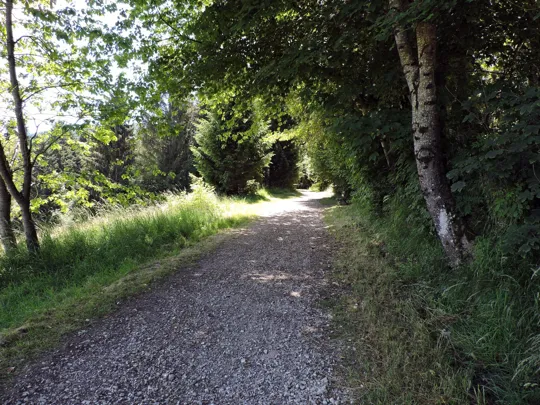 Dettaglio del percorso verso Cesuna