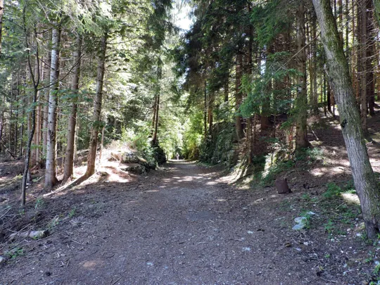 Dettaglio del percorso verso Cesuna