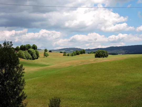Anche questo è l'altopiano di Asiago!