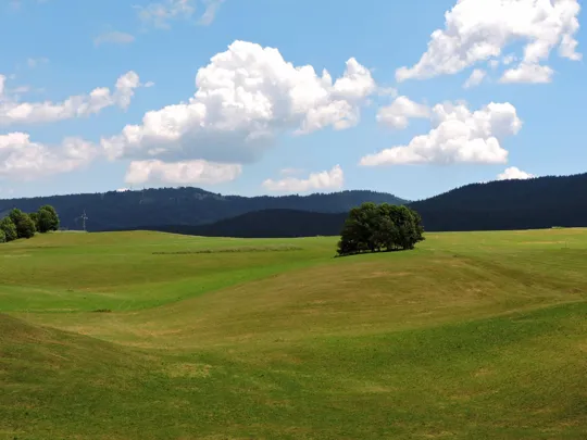 Anche questo è l'altopiano di Asiago!