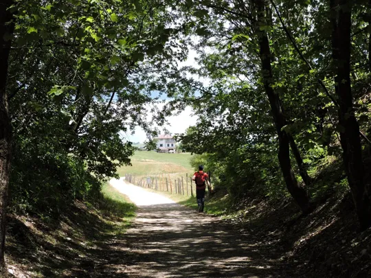 Ultimo tratto ombroso