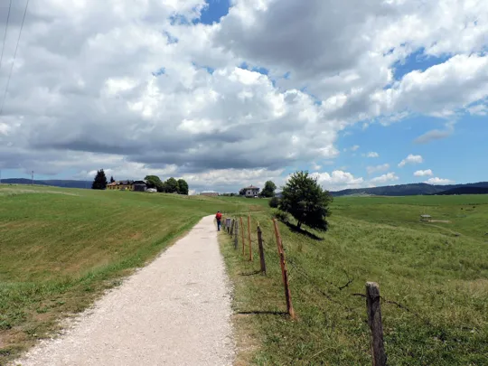 Dettaglio del percorso verso il consorzio