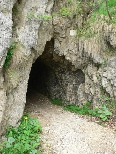 5ª galleria OBERDAN, mt.10