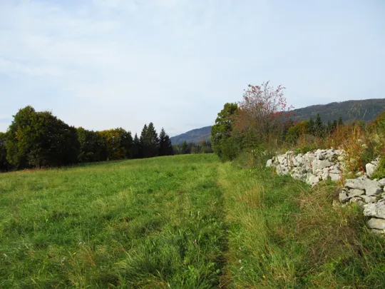 Dettaglio del sentiero vicino al muretto