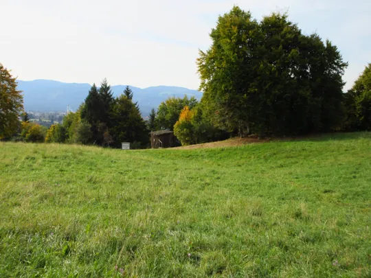 Dettaglio del sentiero e della tabella