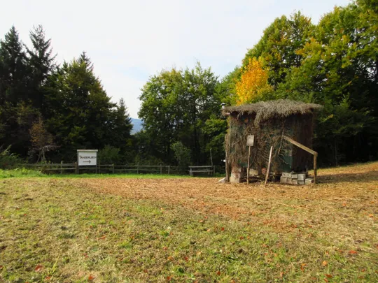 Dettaglio del sentiero