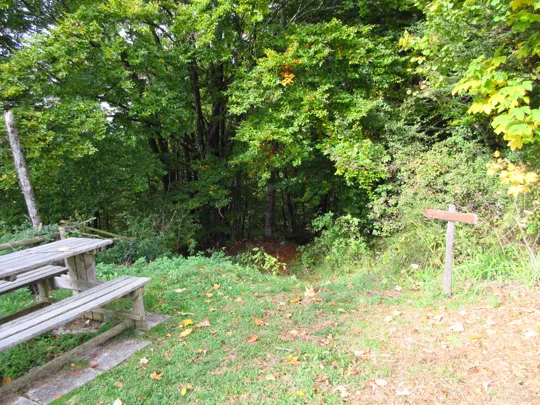 Dettaglio del sentiero