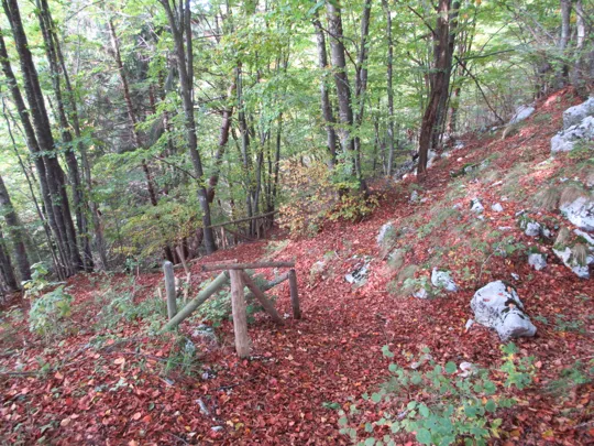 Dettaglio del sentiero