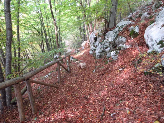 Dettaglio del sentiero