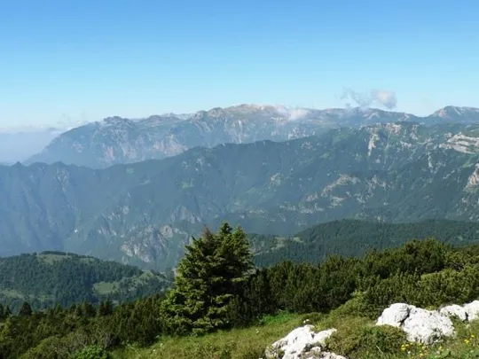 Monte Toraro - Panorama