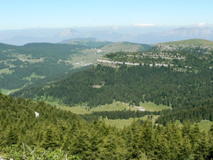 Monte Toraro - Malga Zonta