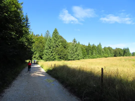 Dettaglio del percorso