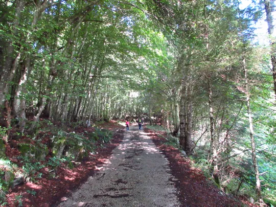 Dettaglio del percorso