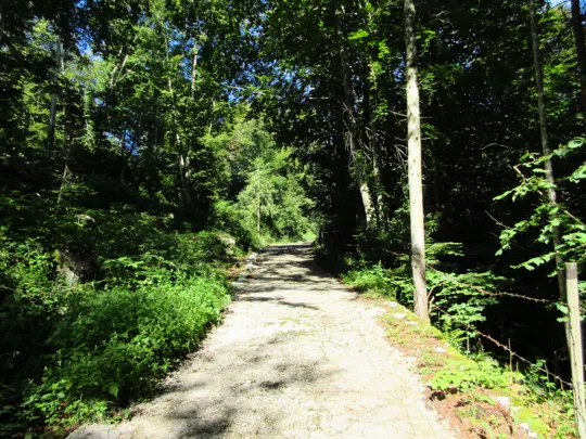 Dettaglio del percorso