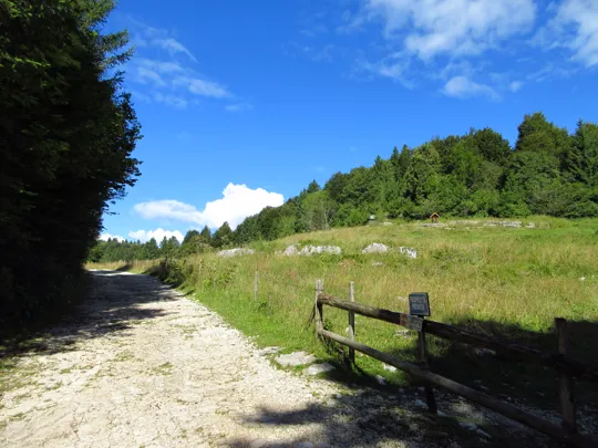 Dettaglio del percorso