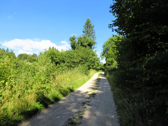 Dettaglio del percorso