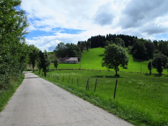 Dettaglio del percorso