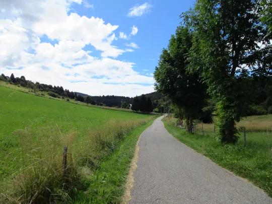 Dettaglio del percorso