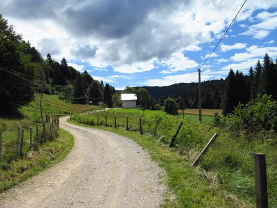 Dettaglio del percorso