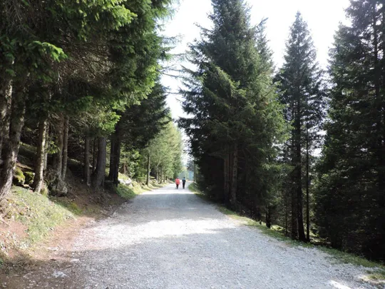 Strada verso Val Formica