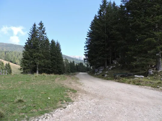 La strada verso le malghe