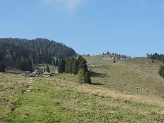 Verso malga di Porta Manazzo