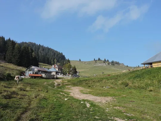 Malga di Porta Manazzo