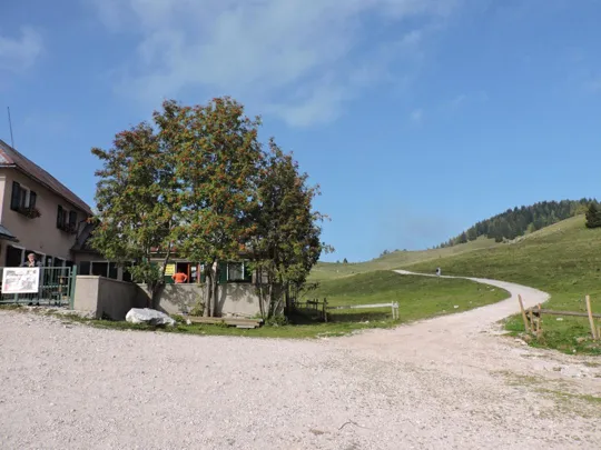 Inizio della strada da malga di Porta Manazzo