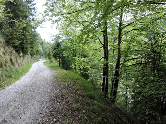 Val Frenzela - strada vecchia del Buso