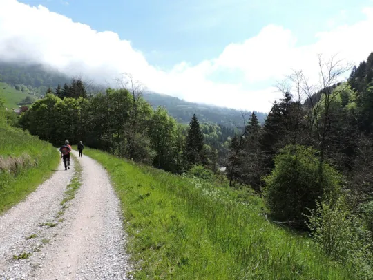 Val Frenzela - strada vecchia del Buso