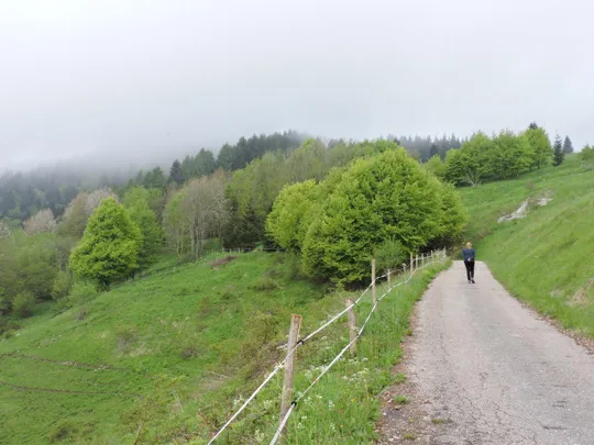 Val Frenzela - Stoccareddo - malga Stenfle