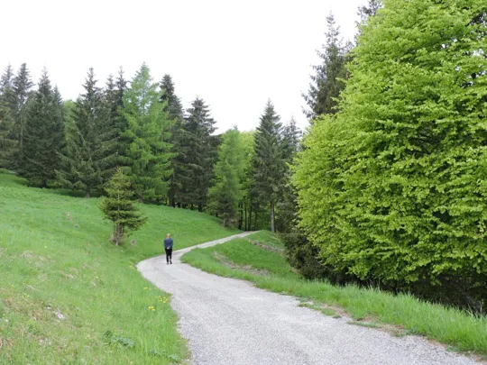 Val Frenzela - Stoccareddo - malga Stenfle