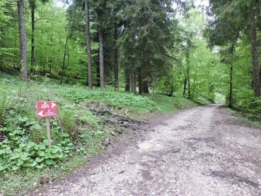 Incrocio verso malga Stenfle