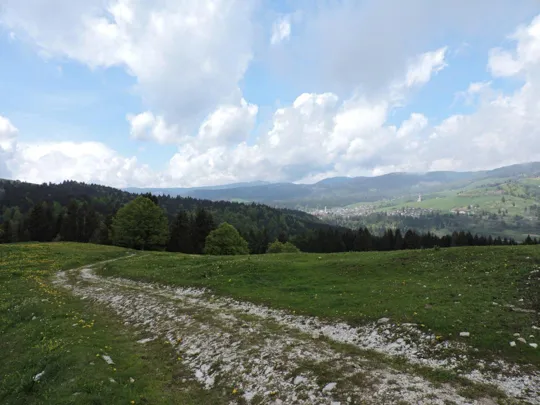 Strada in uscita da malga Stenfle