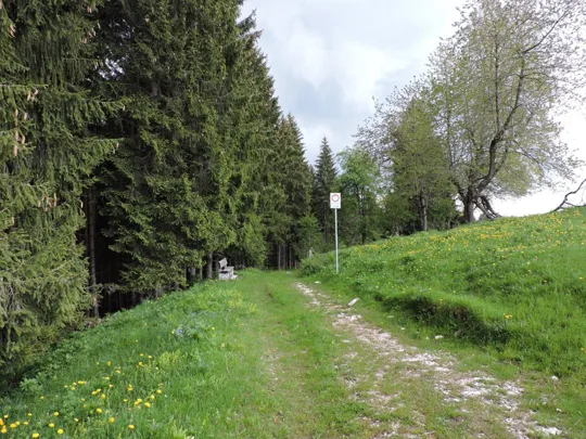 Ingresso al bosco da malga Stenfle