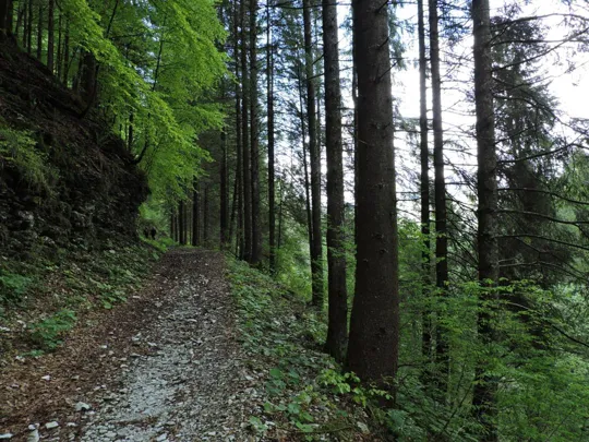 In discesa verso la partenza