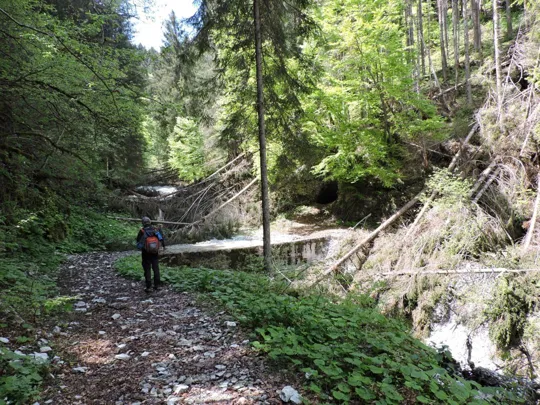 Attraversamento del torrente