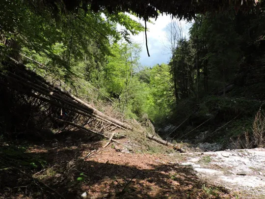 Strada bloccata dagli schianti