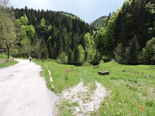 La strada verso il punto di partenza