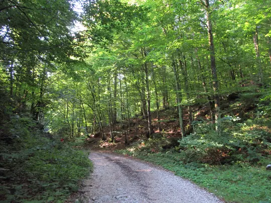 Dettaglio della strada