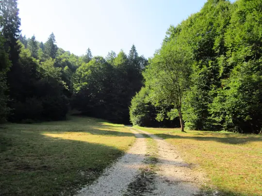Dettaglio della strada
