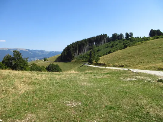 La strada verso malga Col dei Remi