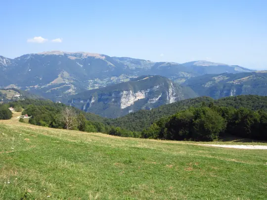 Panorama