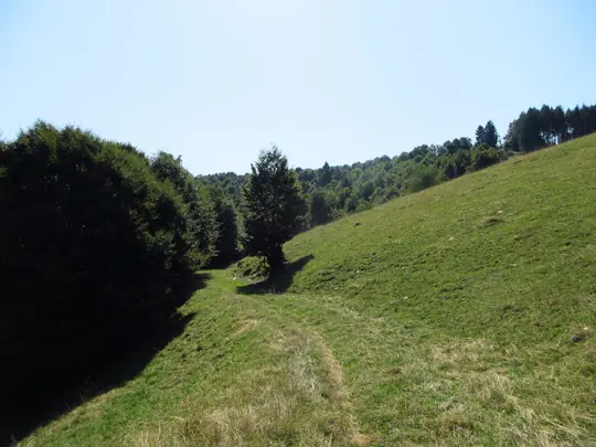 Inizio del sentiero dopo l'uscita dalla strada della malga