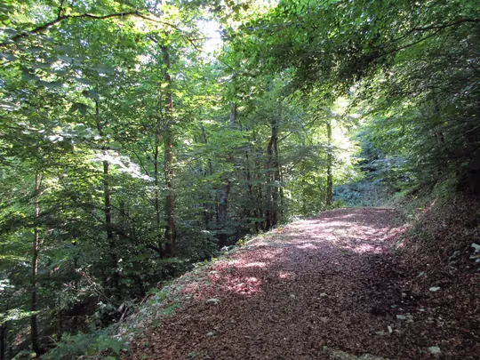 Dettaglio del percorso